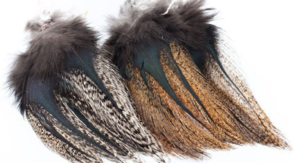 Coq de Leon Pardo Colgaderas