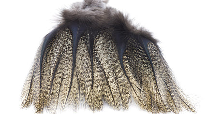 Coq de Leon Pardo Colgaderas