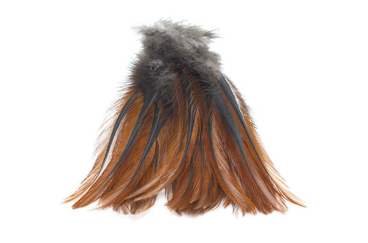 Coq de Leon Pardo Rihnon