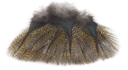 Coq de Leon Pardo Rihnon