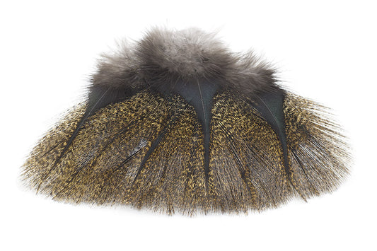 Coq de Leon Pardo Rihnon