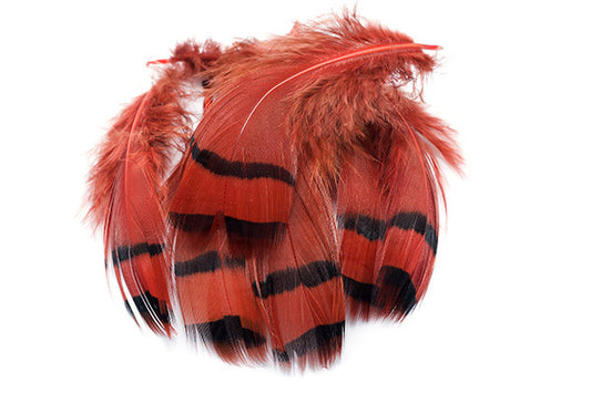 French Partridge Loose Selected Feathers