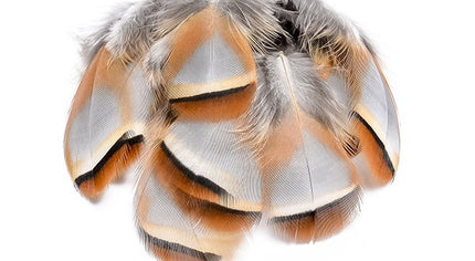 French Partridge Loose Selected Feathers
