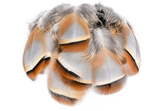 French Partridge Loose Selected Feathers