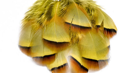 French Partridge Loose Selected Feathers