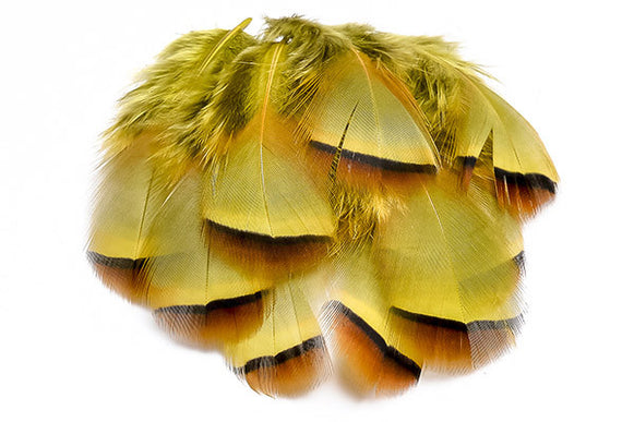 French Partridge Loose Selected Feathers