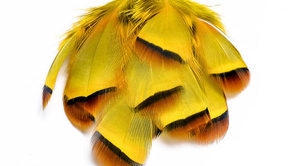 French Partridge Loose Selected Feathers