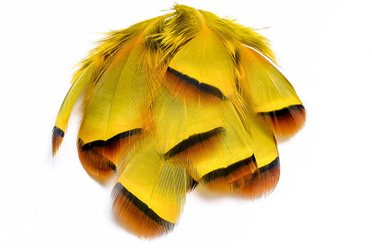 French Partridge Loose Selected Feathers