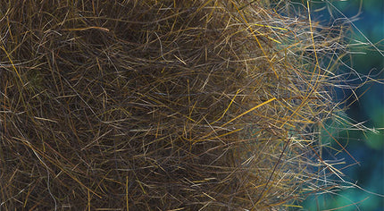 Squirrel Hybrid Dubbing