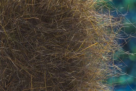 Squirrel Hybrid Dubbing