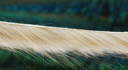 Muskrat Zonker Strips 3mm