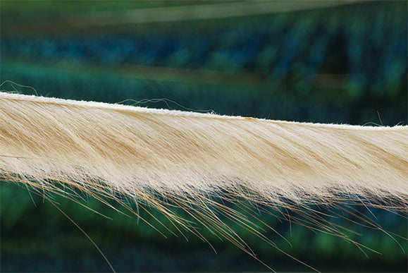Muskrat Zonker Strips 3mm