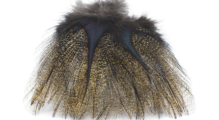 Coq de Leon Pardo Rihnon