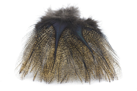 Coq de Leon Pardo Rihnon