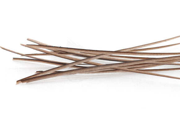 Stripped Peacock Quill