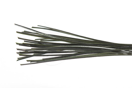 Stripped Peacock Quill