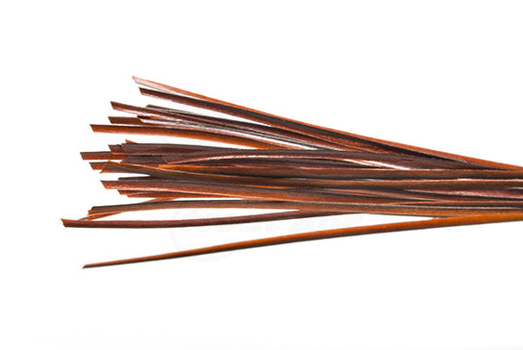 Stripped Peacock Quill