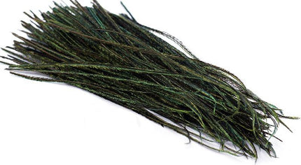 Premium Selected Peacock Herl