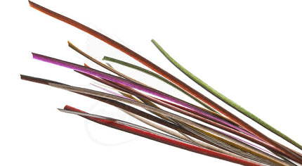 Stripped Peacock Quill