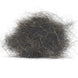 Black Pepper