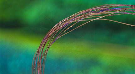 UV Micro Ribbing Quill