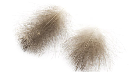 Selected CDC Wild European Mallard