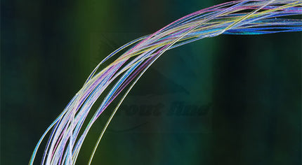 UV Micro Ribbing Quill