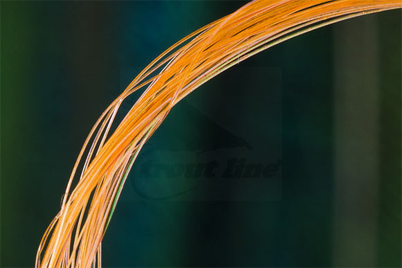 UV Micro Ribbing Quill