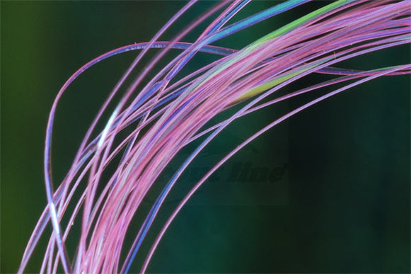 UV Micro Ribbing Quill