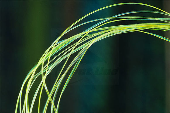 UV Micro Ribbing Quill