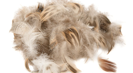 Mallard Breast Feathers