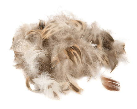 Mallard Breast Feathers